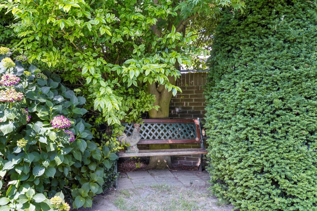 Photo 31 of Meierijstraat 5