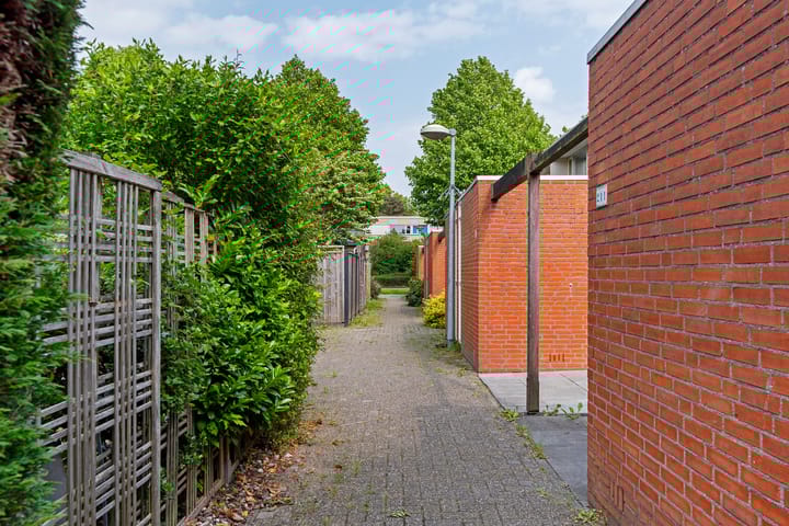 Foto 35 van Bertram 213