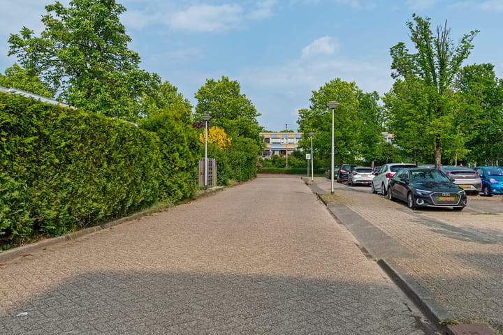 Foto 37 van Bertram 213