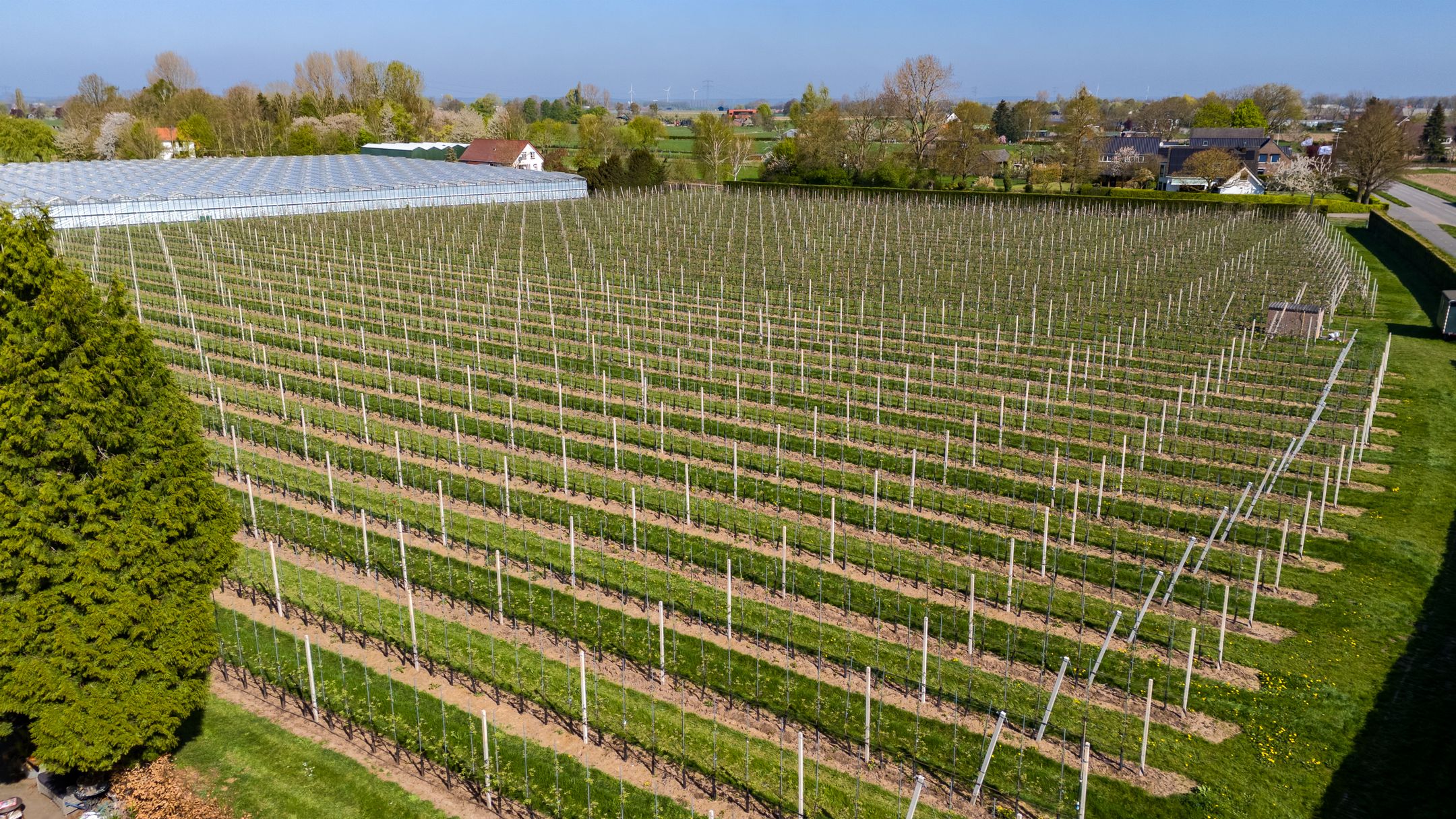 Foto 45 van Angerensestraat 12