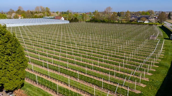 Photo 45 of Angerensestraat 12