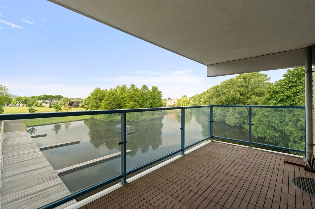 Foto 11 van Hamontstraat 36