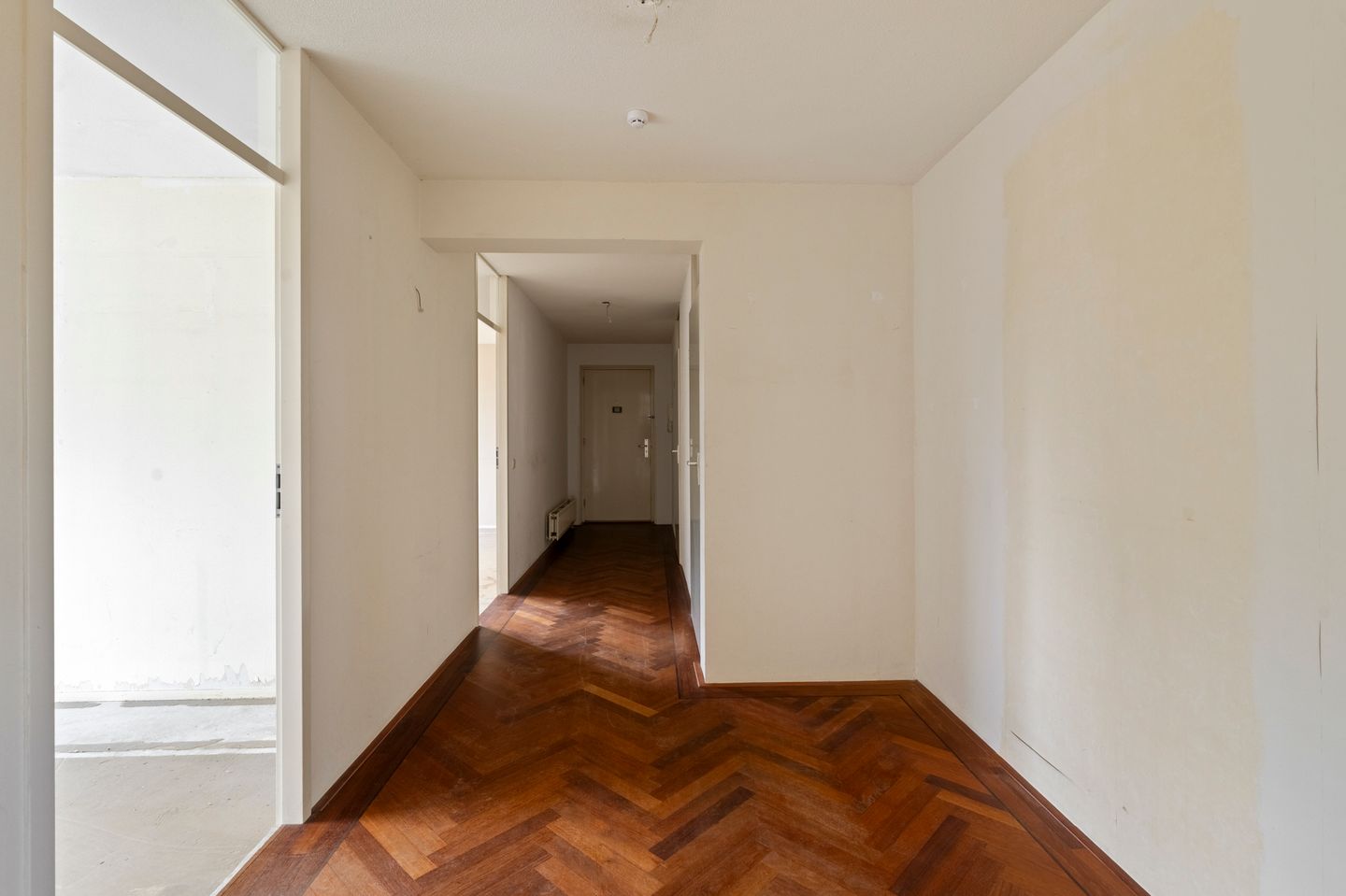 Foto 14 van Hamontstraat 36