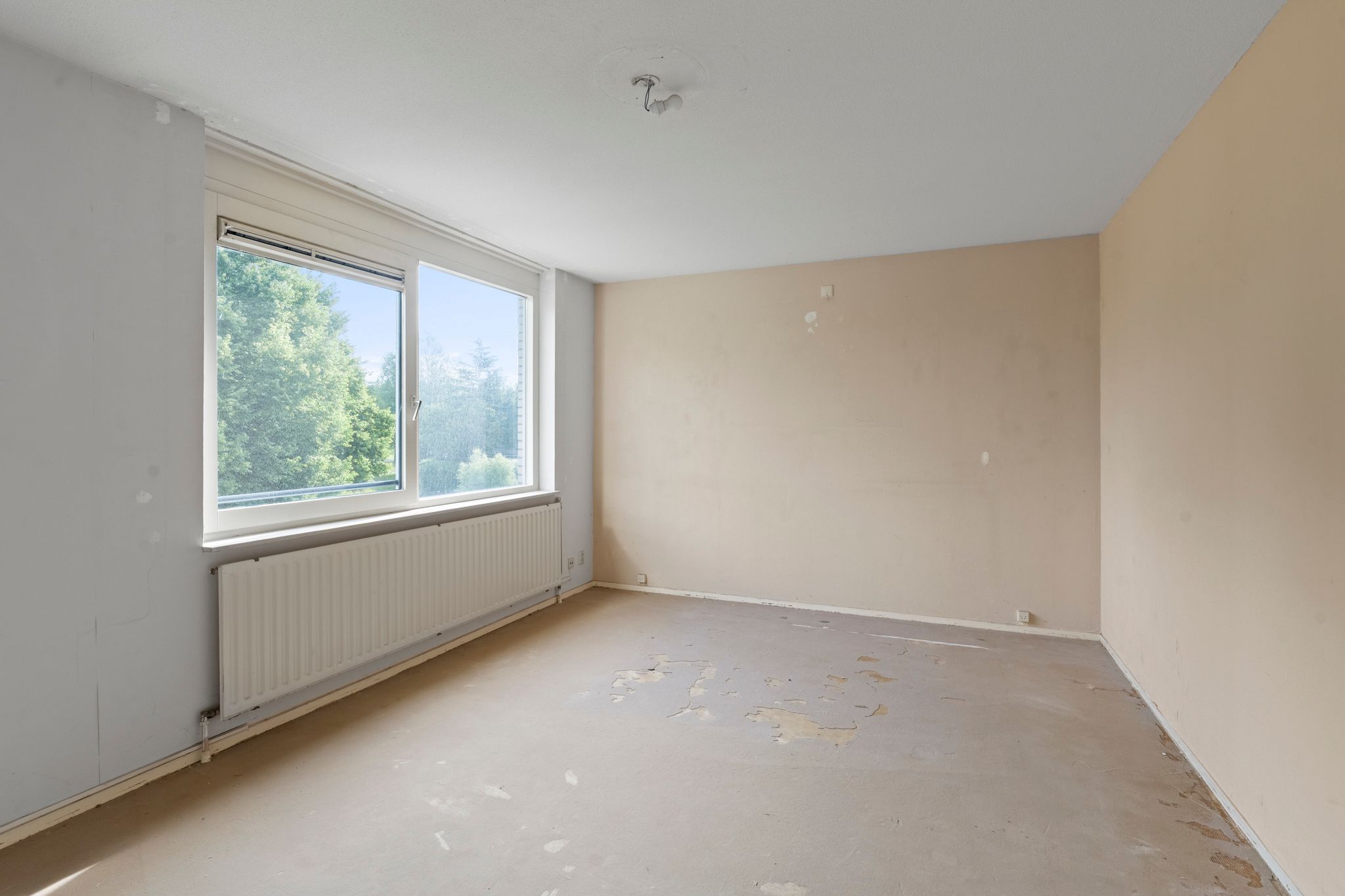 Foto 15 van Hamontstraat 36