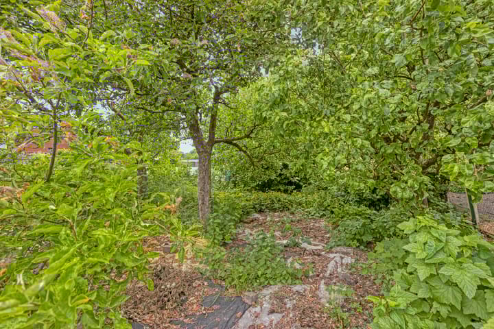 Photo 32 of Vaartstraat 23