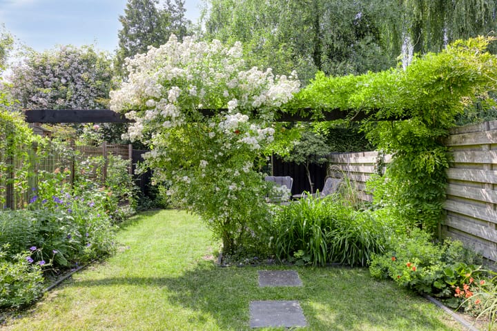 Foto 39 van Werkhorst 14