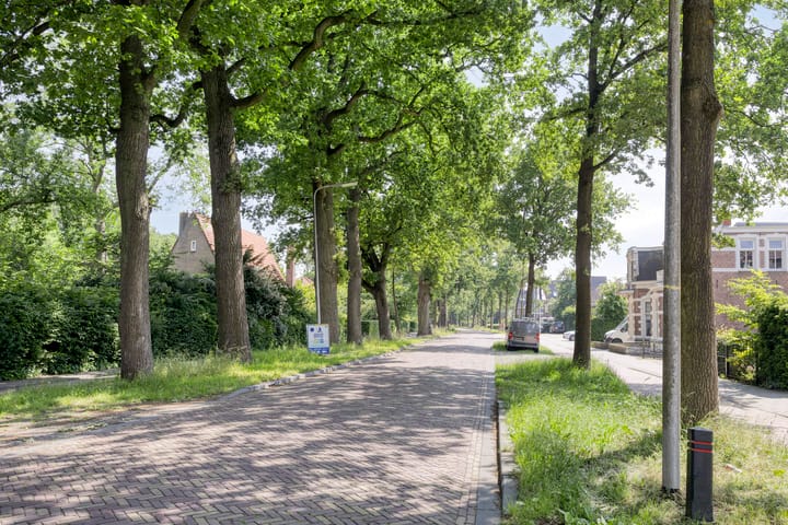 Foto 45 van Werkhorst 14