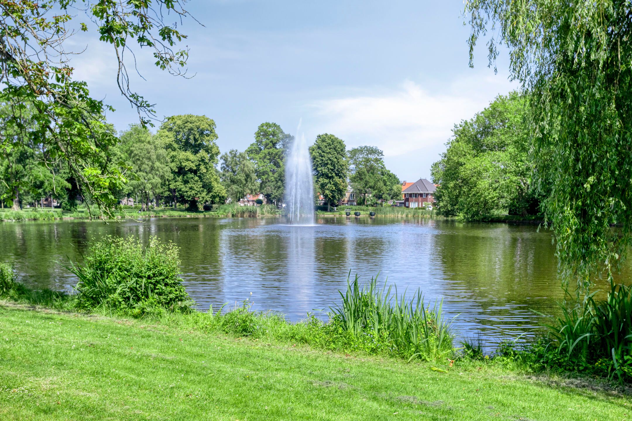 Foto 48 van Werkhorst 14