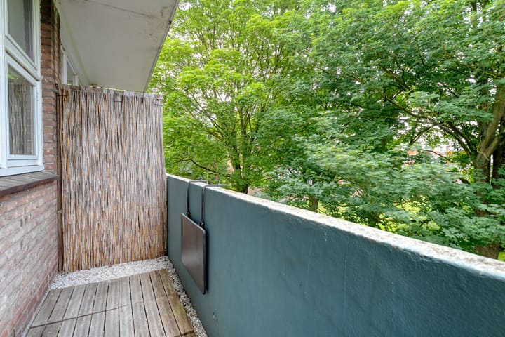 Photo 18 of Ruusbroecstraat 124