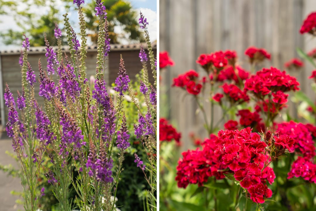 Foto 38 van Oudelandseweg 214