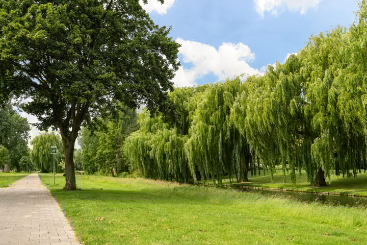 Foto 41 van Oudelandseweg 214