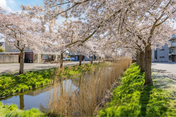 Foto 37 van Poortlaan 9