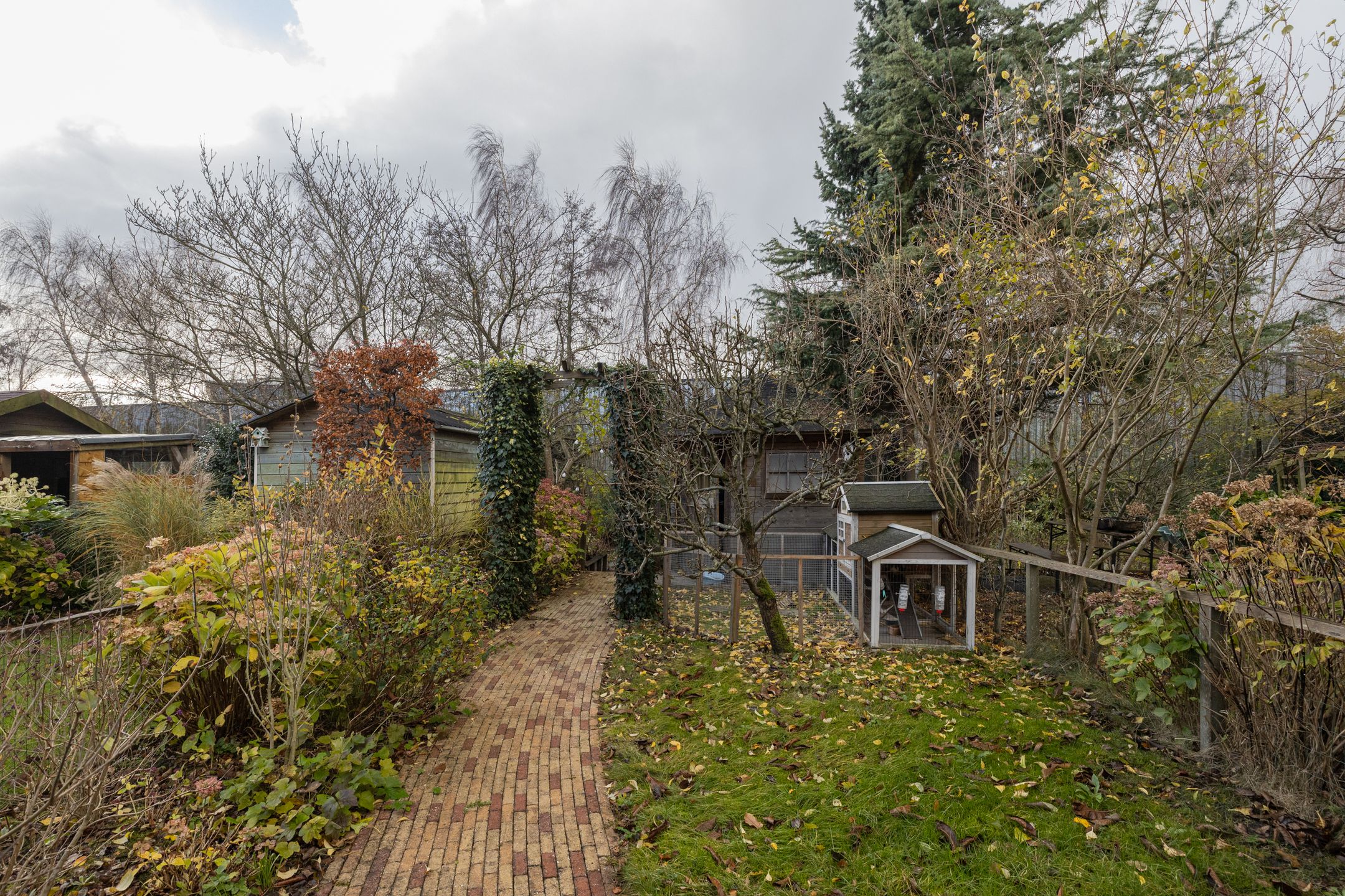 Photo 18 of Douwes Dekkerlaan 60