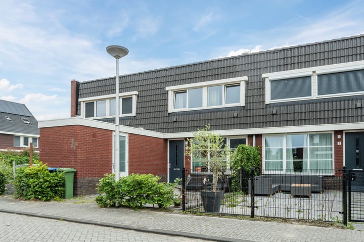 View photo of Goudsbloem 5