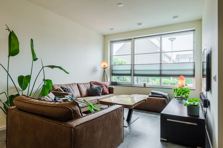 Foto 12 van Goudsbloem 5