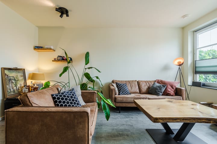 Foto 14 van Goudsbloem 5