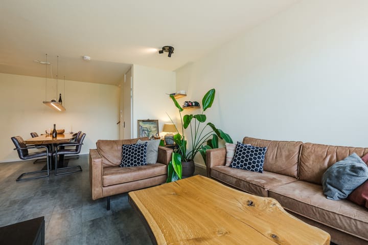 Foto 16 van Goudsbloem 5