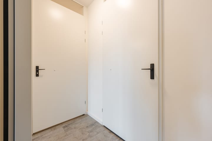 Foto 24 van Goudsbloem 5