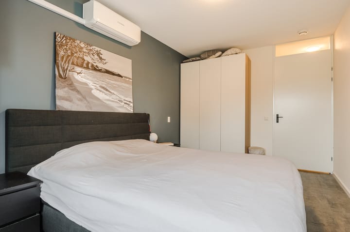 Foto 29 van Goudsbloem 5