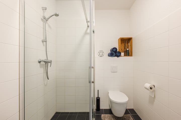 Foto 31 van Goudsbloem 5