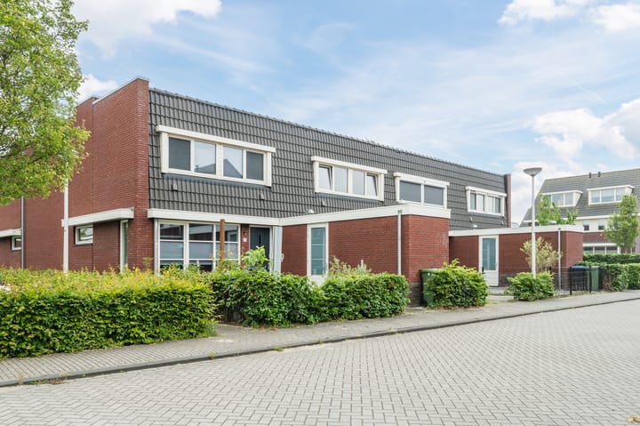 Foto 33 van Goudsbloem 5