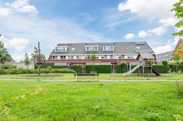 Foto 34 van Goudsbloem 5