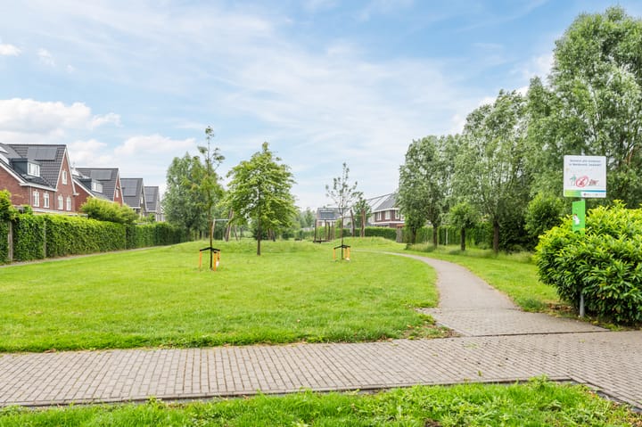 Foto 35 van Goudsbloem 5