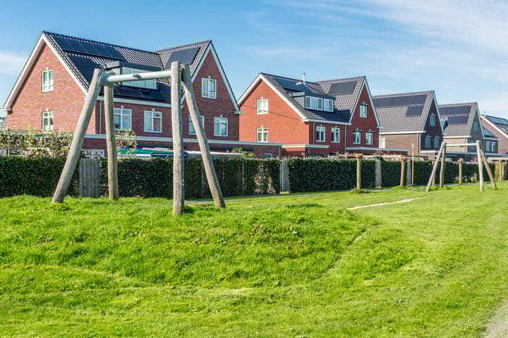 Foto 37 van Goudsbloem 5