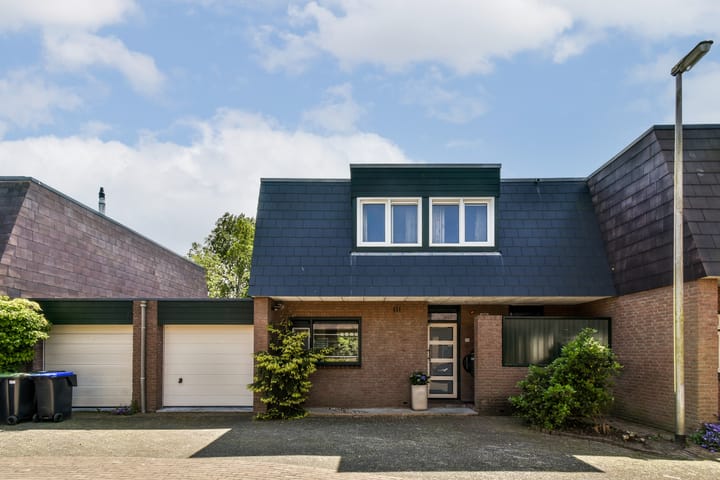 Foto 2 van Fluitekruidzoom 26