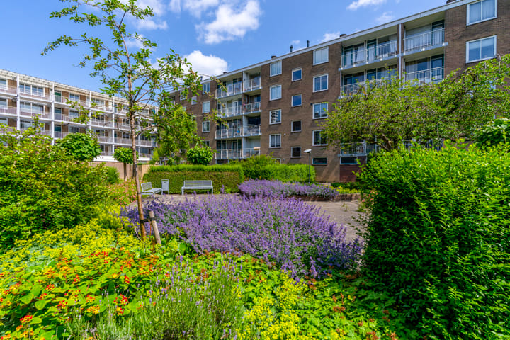 Foto 1 van Van Eysingalaan 323