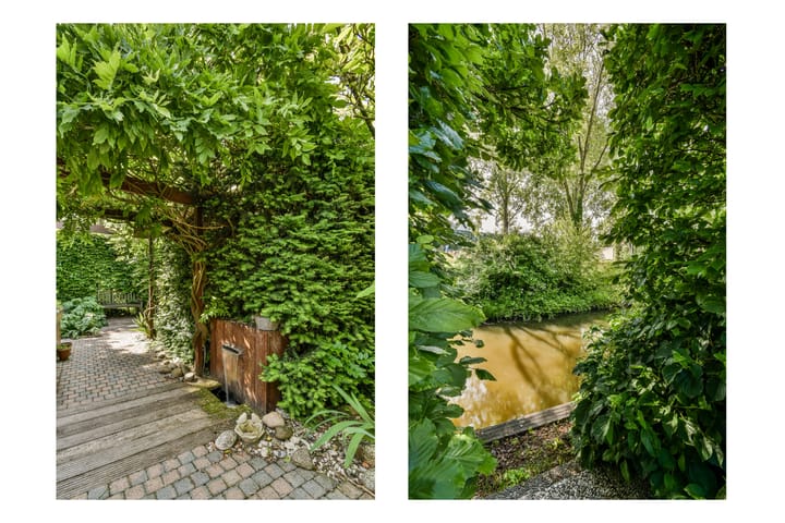 Foto 12 van Fluitekruidzoom 26