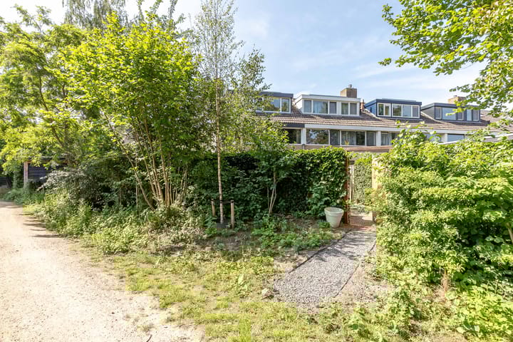 Foto 35 van Vlasland 34