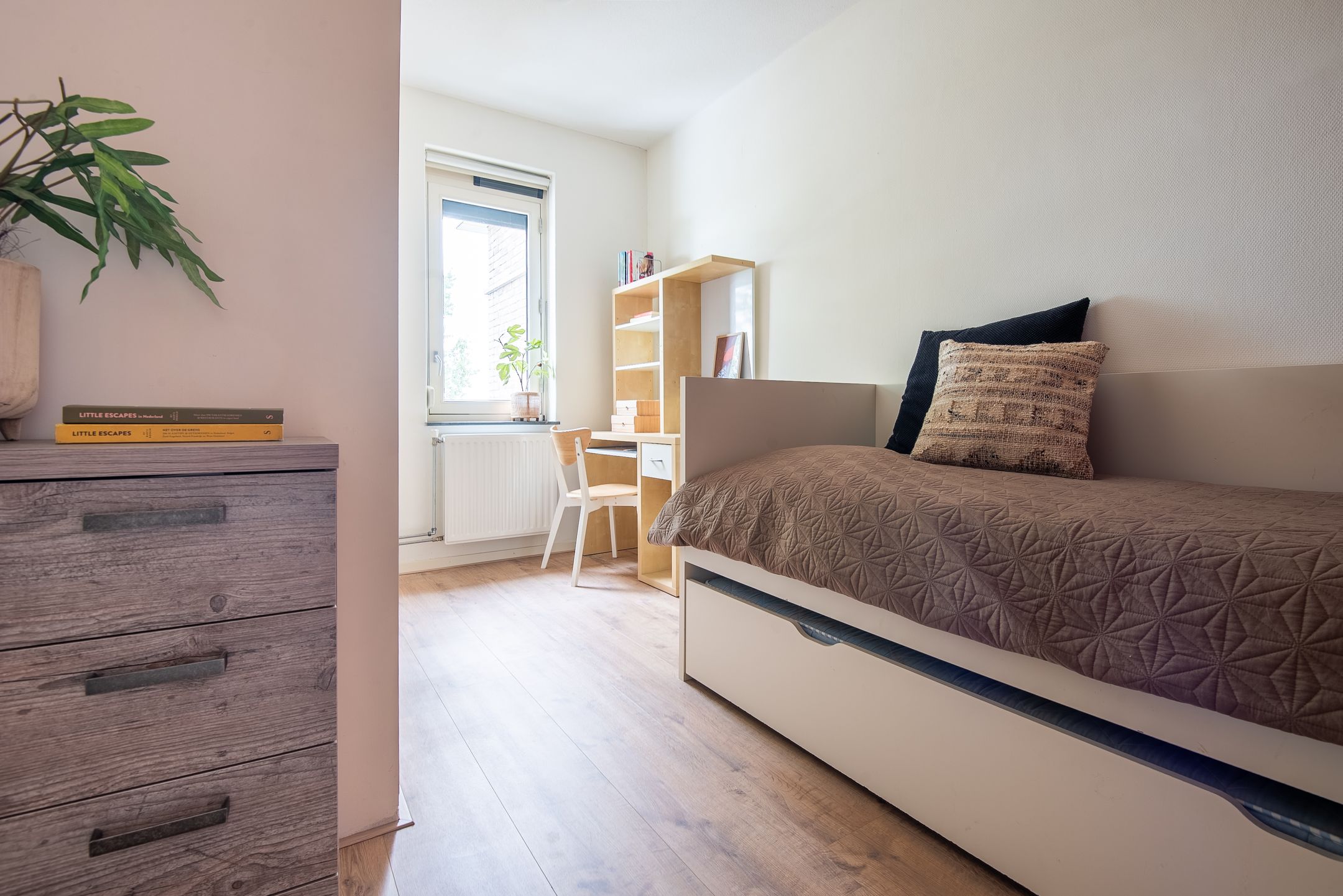 Foto 18 van Draagmuur 50