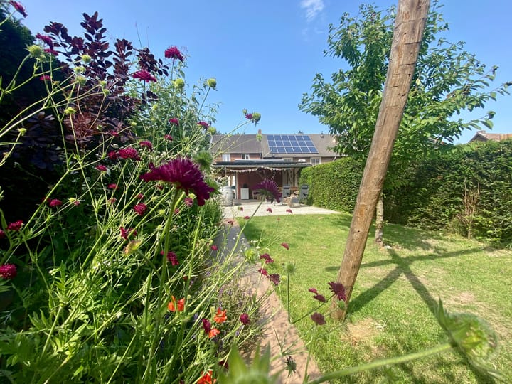 Foto 1 van Peijerstraat 56