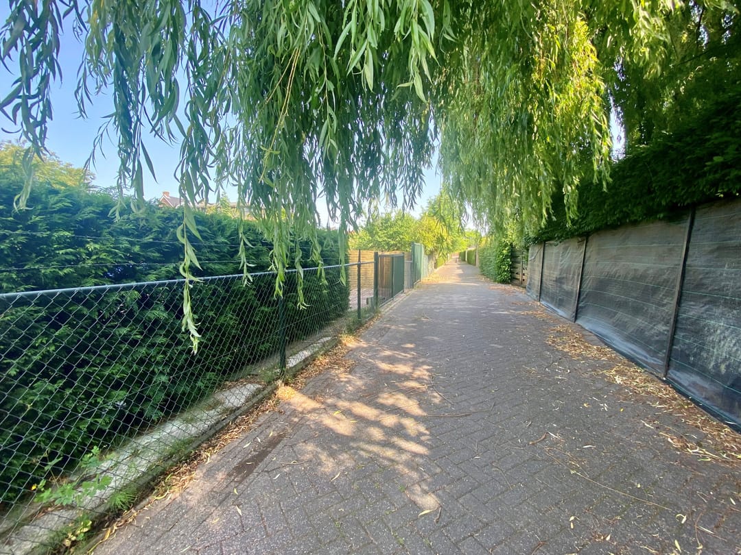 Foto 37 van Peijerstraat 56