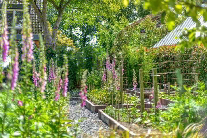 Foto 45 van Droevendalsesteeg 7