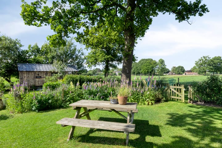 Foto 49 van Droevendalsesteeg 7