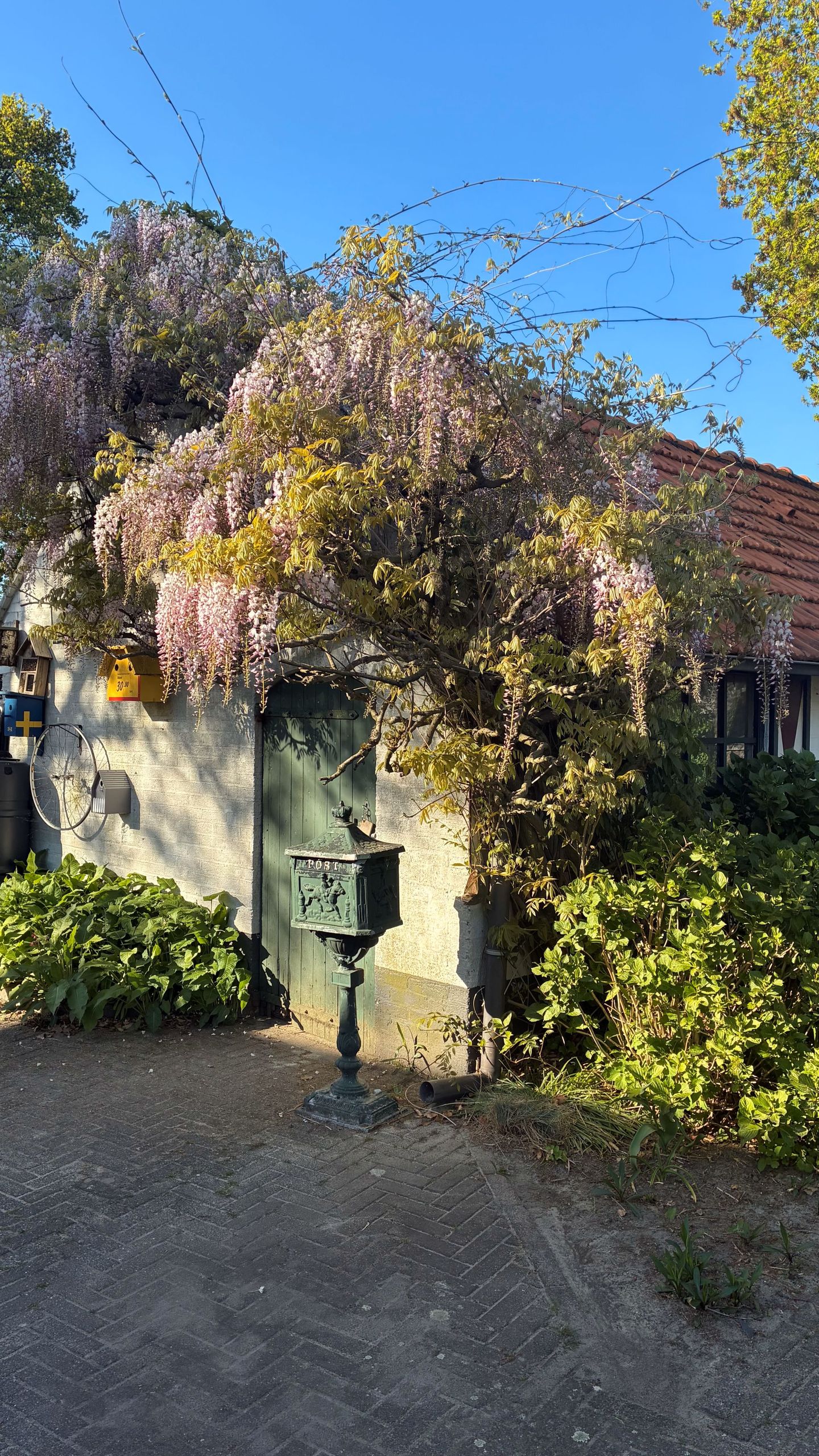 Photo 55 of Droevendalsesteeg 7