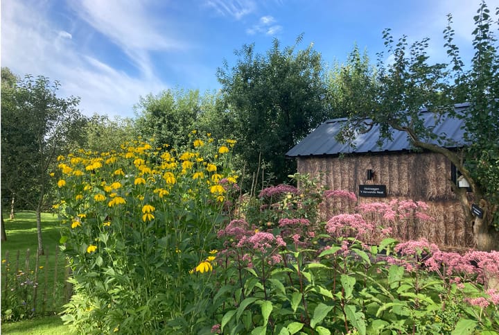 Foto 63 van Droevendalsesteeg 7