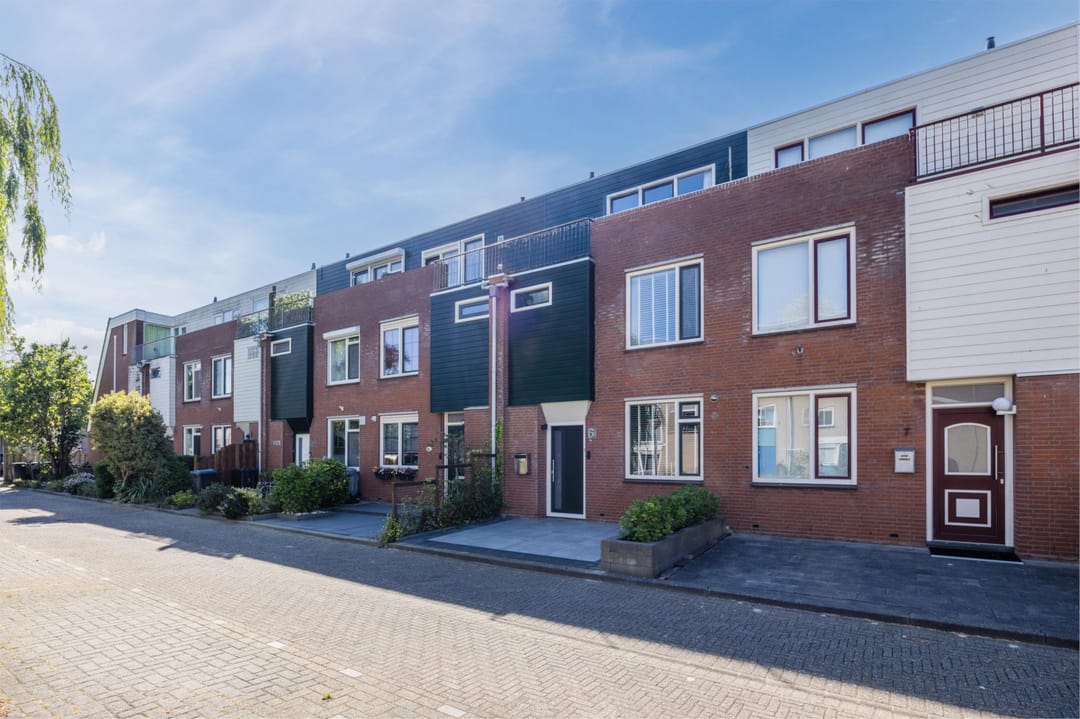 Foto 8 van Citroenvlinder 6