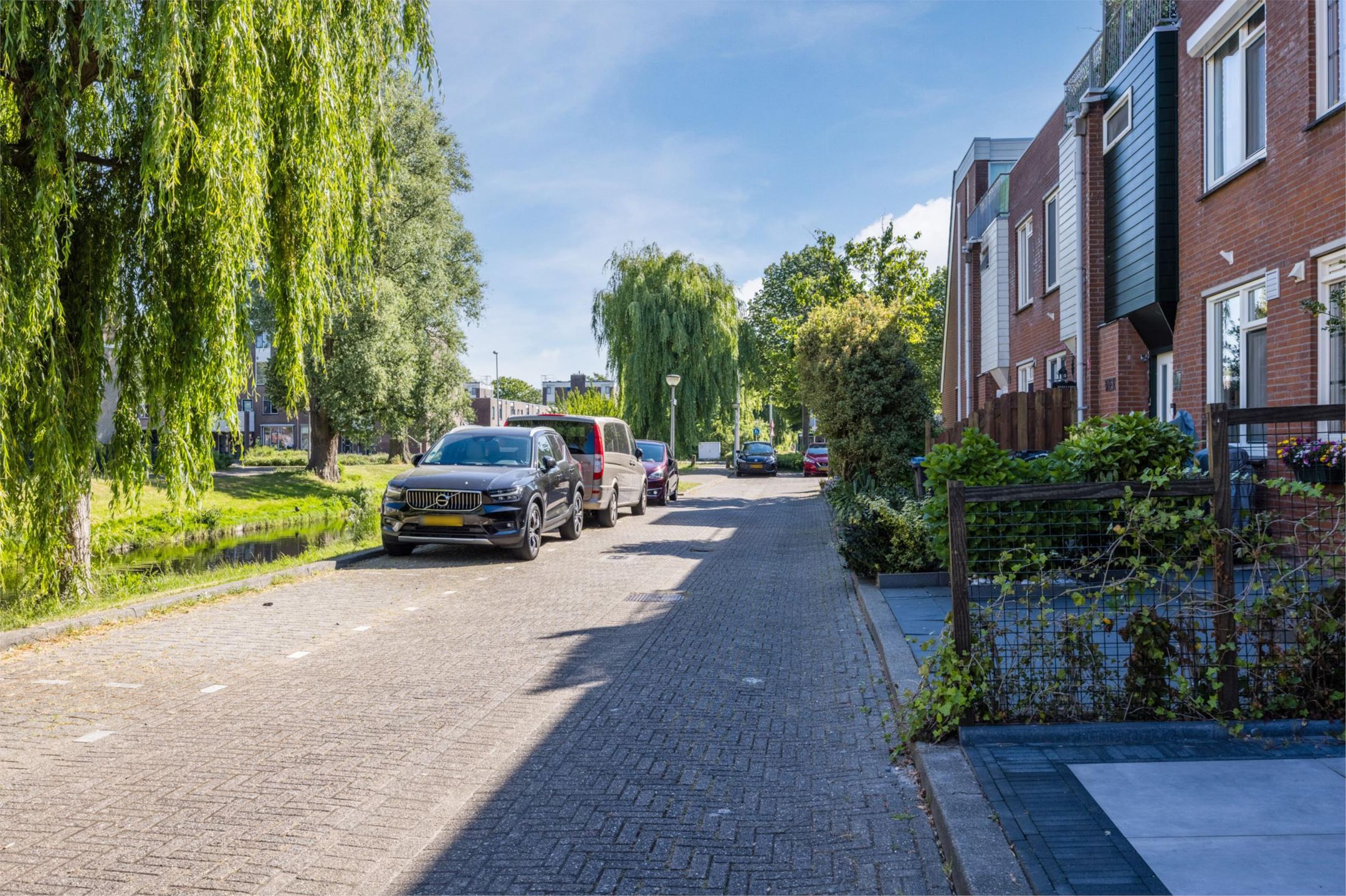 Foto 9 van Citroenvlinder 6