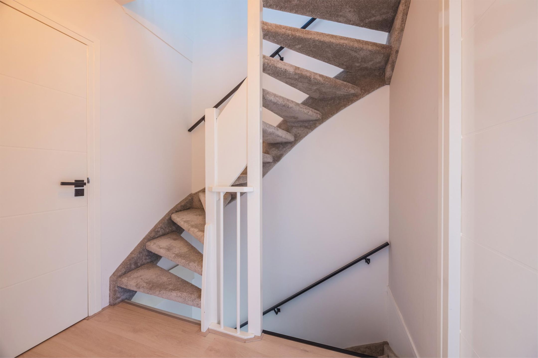 Foto 21 van Citroenvlinder 6