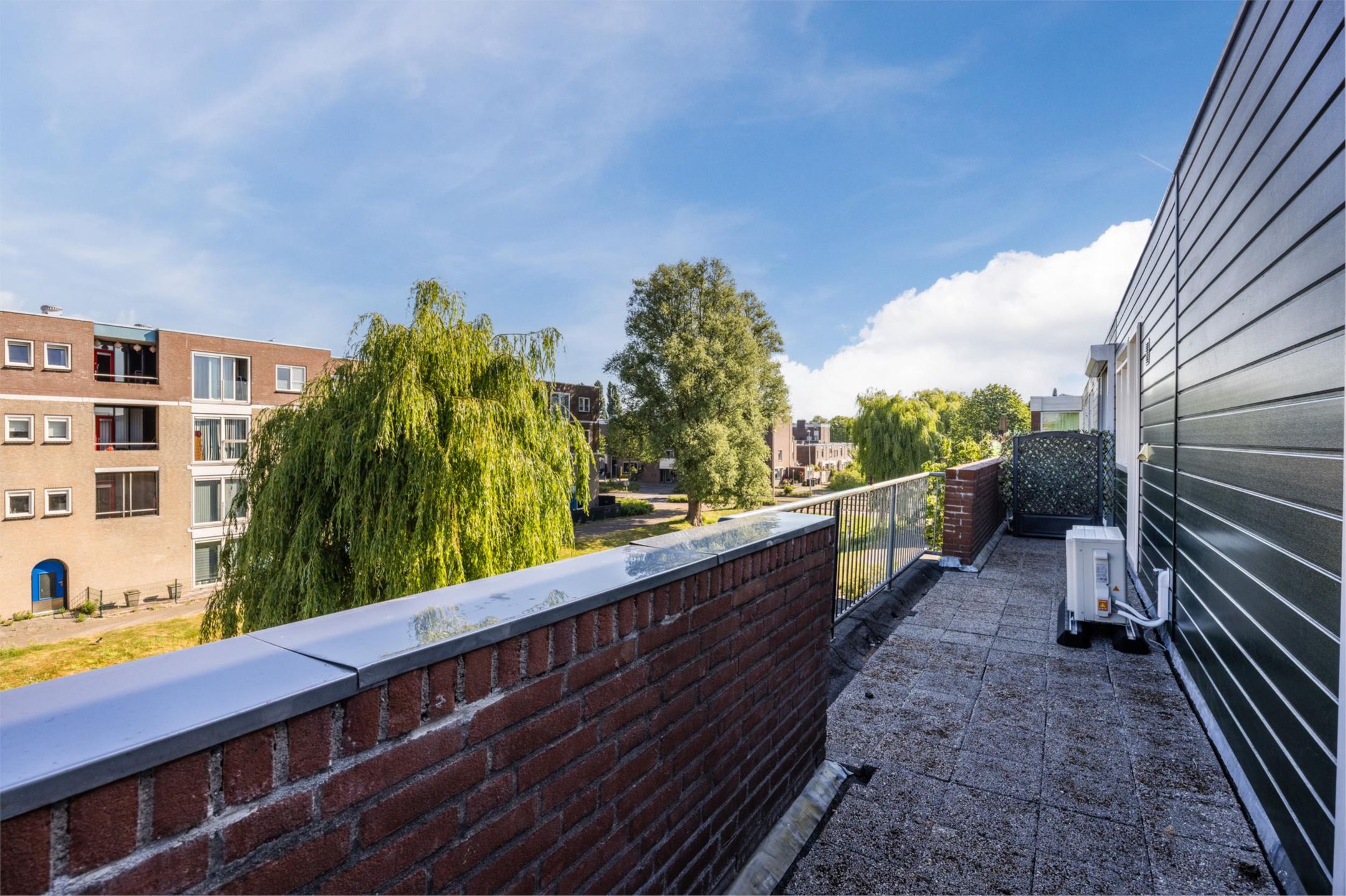 Foto 33 van Citroenvlinder 6