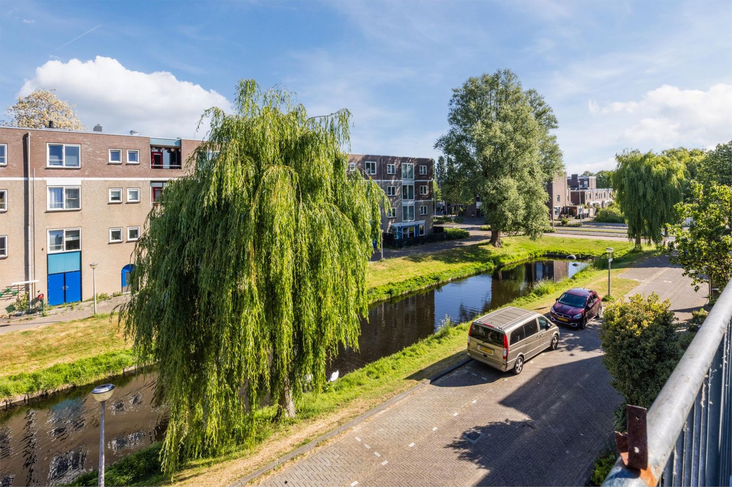 Foto 34 van Citroenvlinder 6