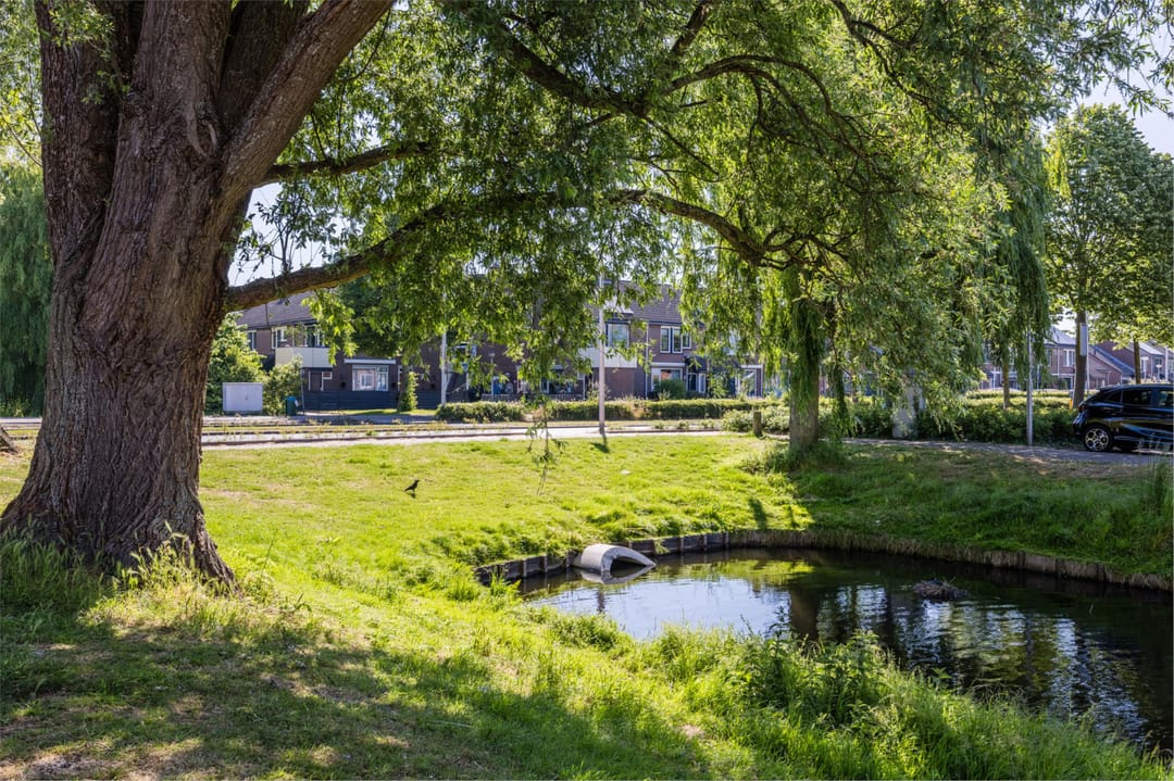 Foto 43 van Citroenvlinder 6