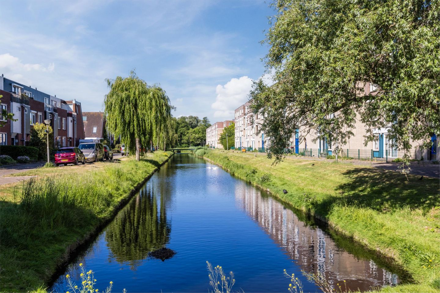 Foto 44 van Citroenvlinder 6