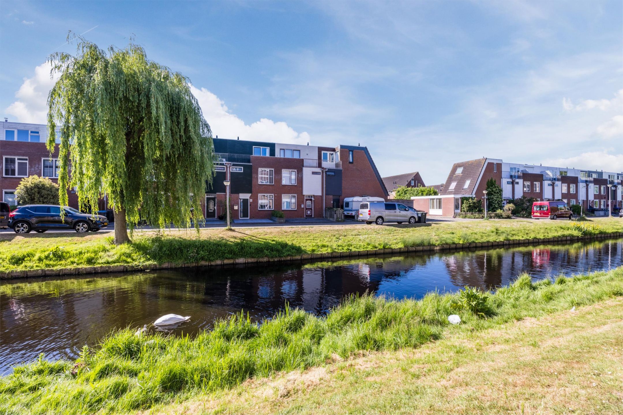 Foto 42 van Citroenvlinder 6