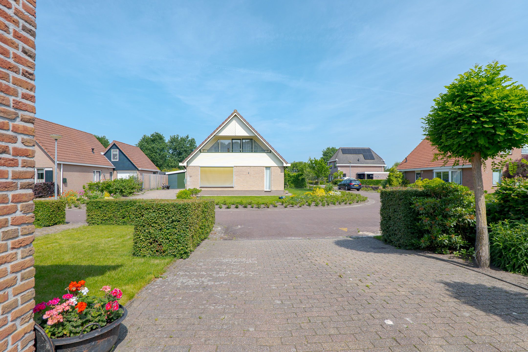 Foto 6 van Trechterbeker 7