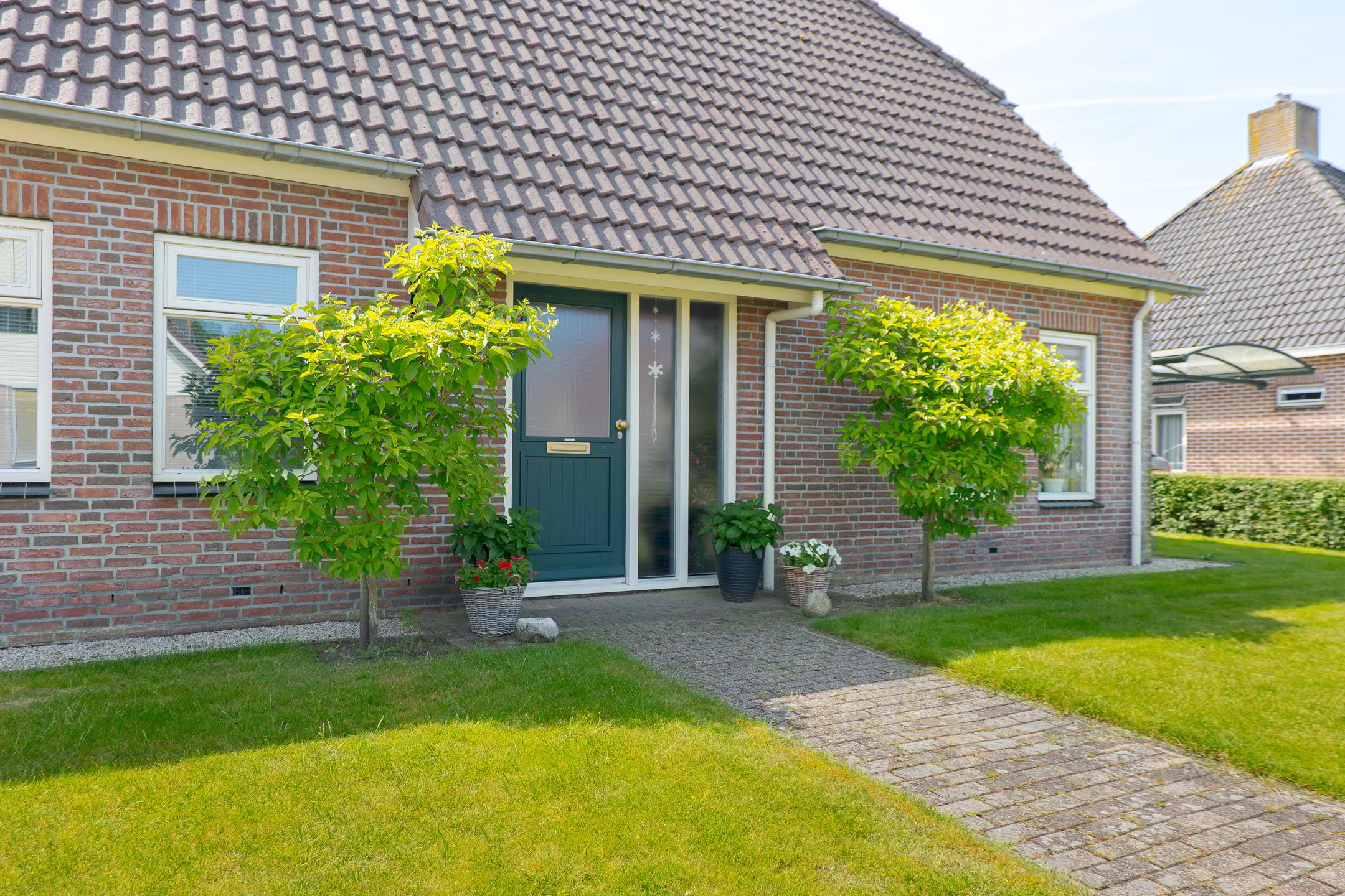 Foto 9 van Trechterbeker 7