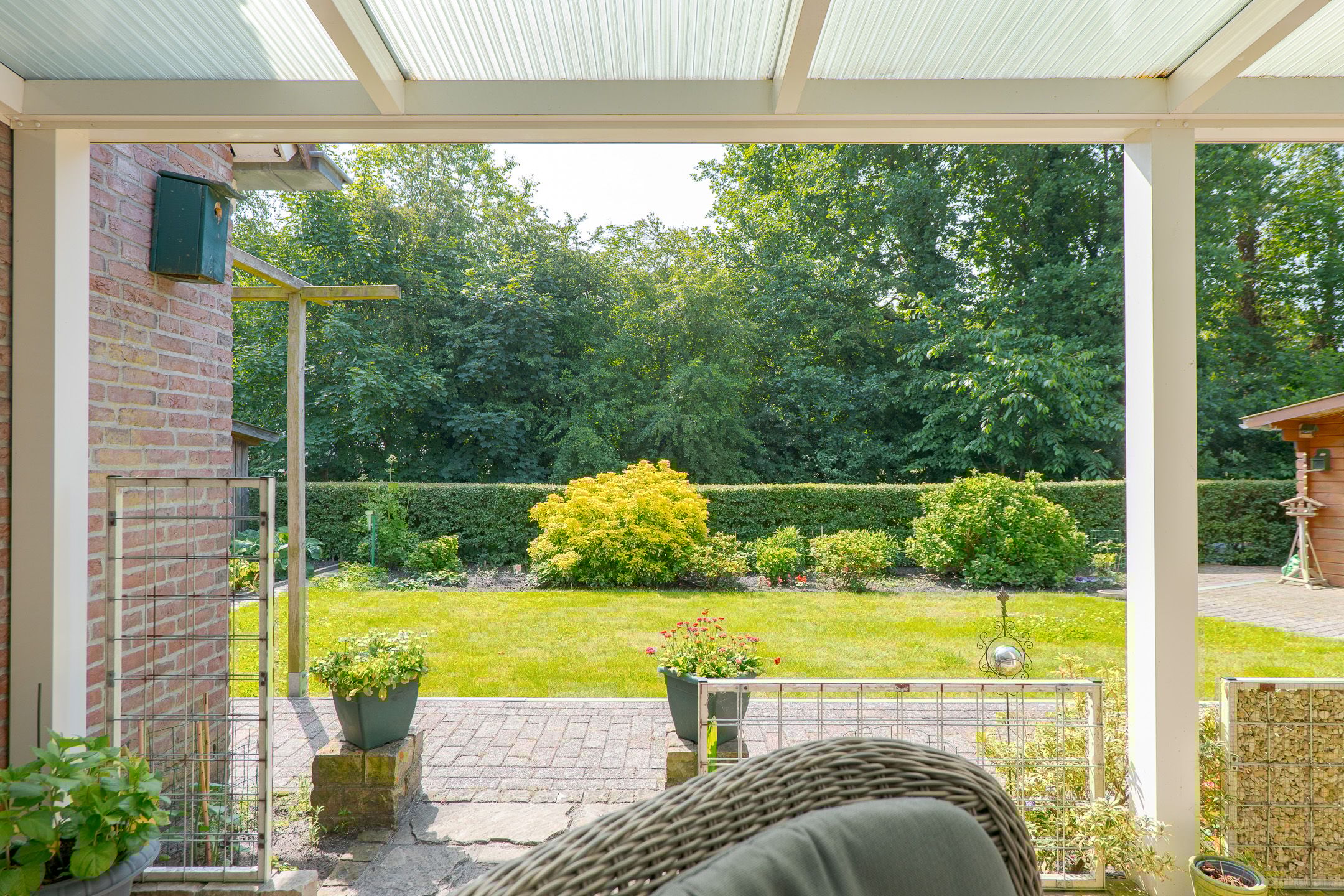 Foto 27 van Trechterbeker 7